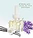 (4 Pack) Refills Lavender Vanilla Plug in Refills Fits Air Wick Plug in Scented Oil Warmers