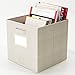ClosetMate Foldable Cube Storage Bins - 6 Pack - Organizer- With Label Holder for Better Organization - Fabric Cubes Are Collapsible Great Organizer for Shelf, Closet or Storage