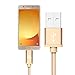 LAX Gadgets Durable Nylon Braided Tangle Free 2.0 Micro USB Android Charging and Data Sync Cable for Samsung, HTC, Motorola, Nokia, Kindle, MP3, Tablet and More[10 Feet-Gold]