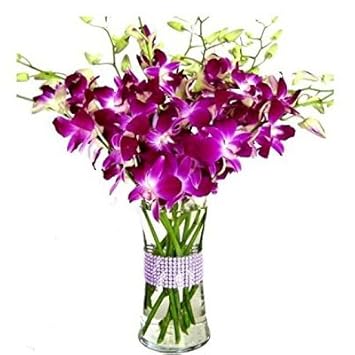 Florazone Smiling Purple Orchids Arranged in A Glass Vase