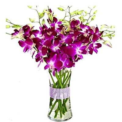 Florazone Smiling Purple Orchids Arranged in A Glass Vase