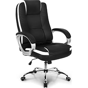 Neo Chair Office Chair Computer Desk Chair Gaming – Ergonomic High Back Cushion Lumbar Support with Wheels Comfortable…