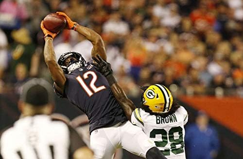 allen robinson jersey bears