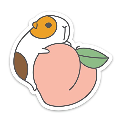 Peach and Guinea Pig Vinyl Sticker for Laptop and Water Bottles