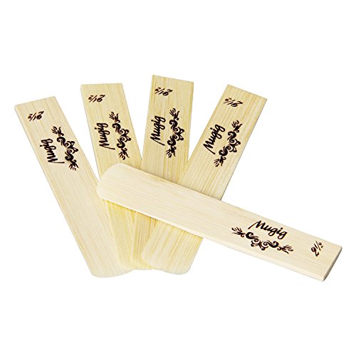 Mugig B Flat Clarinet Reeds with Individual Plastic Case (10 Pack)