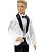Barbie Groom Doll