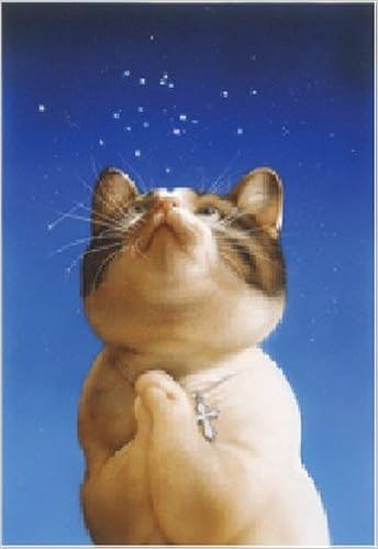 Amazon Co Jp ビッグコミック オリジナル 猫カレンダー カレンダー 村松 誠 村松 誠 文房具 オフィス用品 Amazon Co Jp ビッグコミック オリジナル 猫カレンダー カレンダー 村松 誠 村松 誠 文房具 オフィス用品