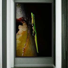 signwin Framed Canvas Wall Art Reptile Contemporary Dramatic...