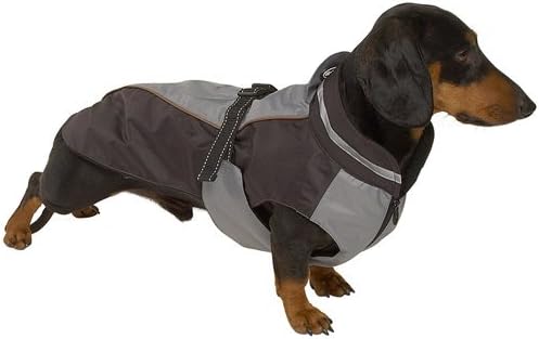 buster winter dog coat