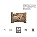 Base Culture Brownies, Chocolate with Almond Butter Drizzle | All Natural 100% Paleo Paleo Certified, Gluten Free Snack, Grain Free, Non GMO, Dairy Free, Soy Free | 2.2oz, 2 Count