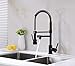 Avola Kitchen Faucet,Black Kitchen Faucet