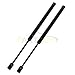 Maxpow 1Pair Front Hood Lift Supports Shocks Struts Compatible With 2000 2001 2002 2003 Maxima 4161
