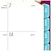 AT-A-GLANCE Weekly / Monthly Planner / Appointment Book 2017, 8-1/2 x 11