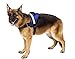 Big Dog Harness Soft Reflective No Pull Blue Size XL 36-46inch