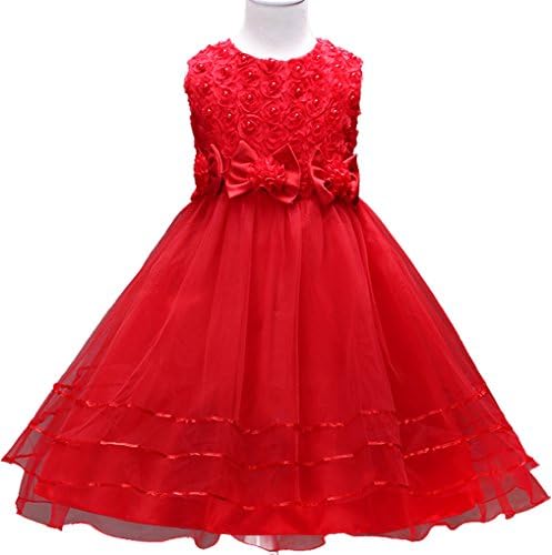 AmyStylish 3D Rose Petal Bowknot Flower Girl Birthday Party Dress Red L/6
