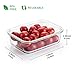 KERUITA [5-Pack,36 OZ Glass Bowl Meal Prep Containers - Glass Storage Containers with lids - Glass Lunch Bowl Airtight Leakproof Bento Box (1 Compartment)