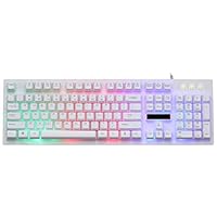 Anyren Gaming G20 RGB Gaming Mechanical Keyboard 12 Cool LED RGB Backlit Modes,Water Resistant USB Wired FN Combination Keys,Blue Switch - Tactile & Clicky (White)