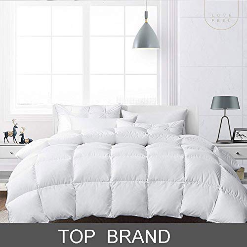 Goose Down Comforter Queen - Luxury Goose Filled Down Feather Comforter Duvet Insert - 1200TC 100% Cotton Shell Soft 700 High Fill Power for All Season Bedding, 90x90 White
