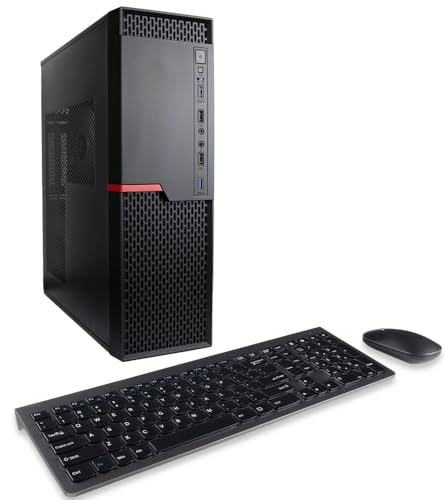 Envision S13 SFF PC (4GHz 4-Core Ryzen 3 5300G w/FHD Low/Med Gaming Radeon Graphics, 8GB RAM, 256GB NVME SSD, MSI mb, WiFi, Windows 11 Pro, 10 USB, HDMI + DVI-D, RJ45, KB+Mouse, Desktop Computer