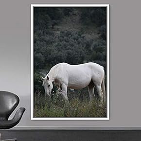 signwin Framed Canvas Wall Art Horse Animals Dramatic...