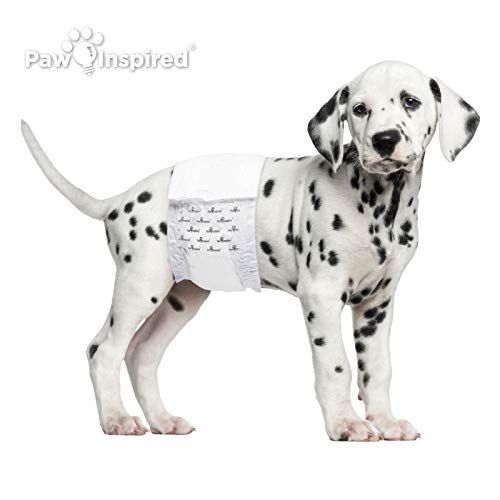 Paw Inspired Disposable Male Dog Wraps, Belly Band for Dogs Disposable Dog Diapers Male