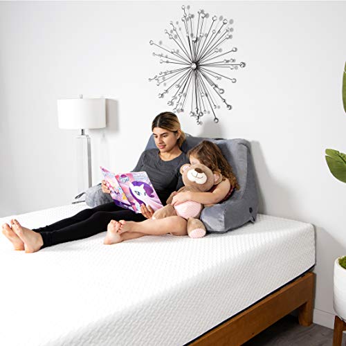 Milliard Double Reading Pillow with Shredded Memory Foam, Great as