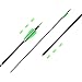 Musen Carbon Arrows 30-Inch Fletching 2.5'' Target Practice Archery Arrows for Recurve or Compound Bow(12 Pack) (Green)