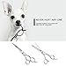 AUGYMER Dog Grooming Scissors Kit, Rounded Tips 5 PCS Curved Pet Grooming Scissors for Cats Dogs Stainless Steel Scissor for Body Face Ear Nose Paw