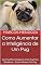 Livro Como Aumentar a Inteligência de Um Pug: Um Pug Mais Inteligente é Um Pug Mais Obediente - Como Adestrar Um Pug