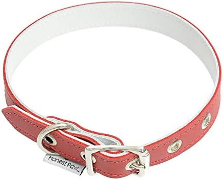 Genuine Leather Designer Dog Collar by Honest Paw - Red - Size 14"-18" - 3/4" Width