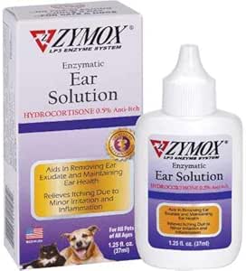 ohio state dog cheerleader outfit