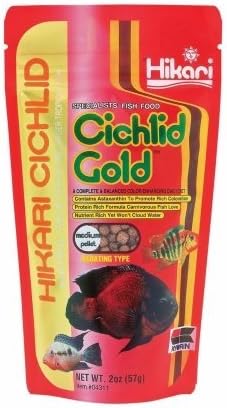 Cichlid Gold