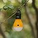 Goofy 2 Pack Portable LED Lantern Tent Light Bulb for Camping Hiking Fishing Emergency Light, Battery Powered Camping Equipment Gear Gadgets Lamp for Outdoor & Indoor ÿ