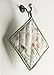 Maison d' Hermine Pot Holders 100% Cotton Heat Resistant Potholders 8