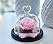 Dakotan Handmade Eternal Rose- Preserved Flower Rose,Forever Flower with Heart Shape Glass -Gift for Valentine's Day Mother's Day Christmas Anniversary Birthday Thanksgiving Girls（Pink）