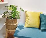 DOKOT Natural Seagrass Belly Basket with Handles Large Storage Laundry view 7