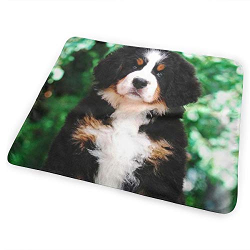 V5DGFJH.B Baby Portable Diaper Changing Pad Bernese Mountain Dog Urinary Pad Baby Changing Mat 31.5" x25.5''