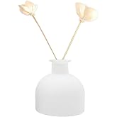 100ml 3.4oz Empty Glass Perfume Diffuser Bottle Aromatherapy Diffuser Jar Refillable DIY Fragrance Container Use for DIY Replacement Diffuser Sticks Sets Home Bathroom Decor (Matte White)