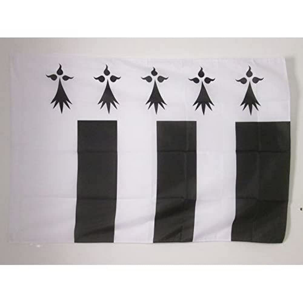 AZ FLAG - Rennes City Flag - 3x5 Ft - Rennes Banner with Sleeve - 100% Polyester - Fade Resistant - Vivid Colors - 3' x 5' Feet - 150x90 Cm