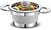 Gourmia GCP9935 1 Liter Collapsible Pot – Stainless Steel, Silicone and Glass Lid – for Gas and Electric Stove Cooking – Great for RV, Outdoors, Hiking, Camping, Traveling - BPA Free