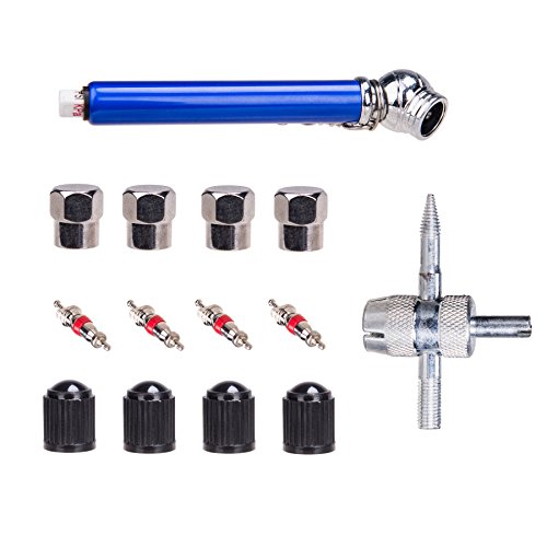 Orion Motor Tech 14-Piece Tire Repair Tool Set, 8pcs Valve Caps, Valve Stem Core Tool, 4pcs Valve Cores, Tire Pressure Gauge
