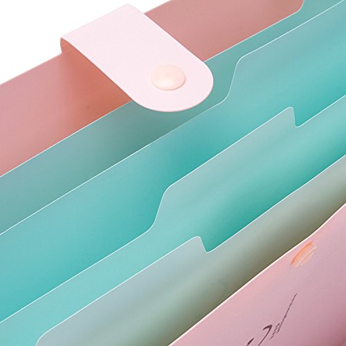 Lateral File Folders Accordion File Folders For Women Expandable Plastic Folder Organizer - Thumbnail 5