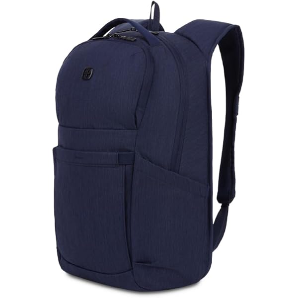 Amazon.com: SwissGear 8183 Laptop Backpack, Charcoal Heather, 18