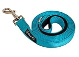 Buddy & Co. Nylon Dog Leash with Reflective Stitching for Nighttime Visibility (3/4-Inch Wide, 6ft Long) - Best for Small to Medium Dogs - Arctic Blue Color