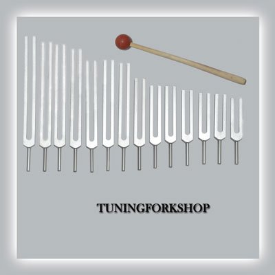 14 Pc Meridian Tuning fork for Healing with mallet+Pouch