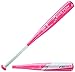 EASTON FP16S50 FS50 -10 FASTPITCH SOFTBALL BAT