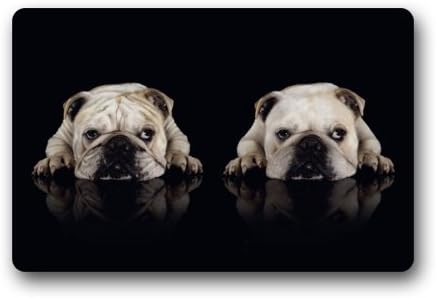 Fashion Decorative Door Mat Rug Funny Dog Bulldog Indoor/Outdoor/Floor Doormat 23.6"(L) x 15.7"(W)