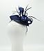 Felizhouse Fascinator Hats for Women Ladies Feather Cocktail Party Hats Bridal Headpieces Kentucky Derby Ascot Fascinator Headband (Blue)