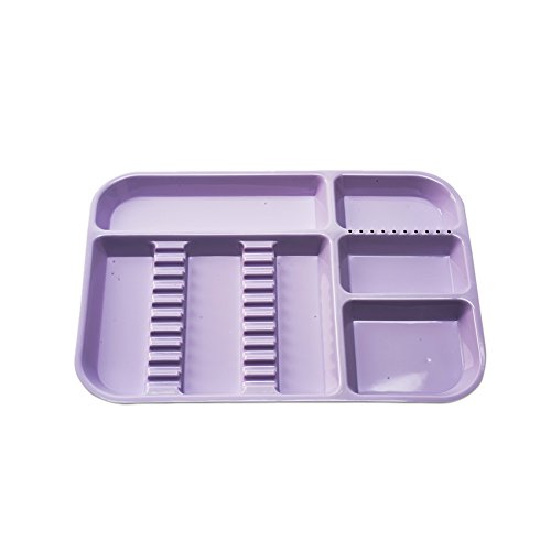 Easyinsmile Autoclavable Dental Instrument Tray Plastic Tray with