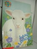 Lamb Lessons